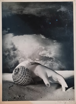 Dora Maar Main-coquillage